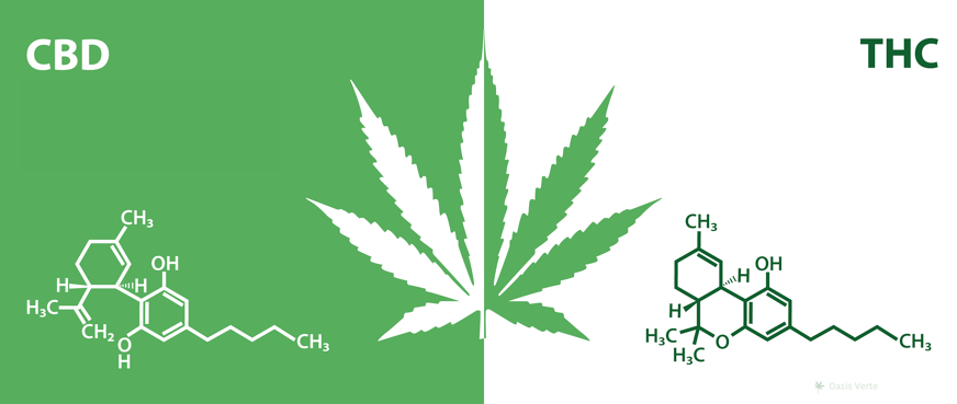 formule-chimique-cbd-vs-thc